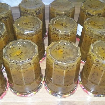 Chambres D'Hotes Larrey Audignon Dış mekan fotoğraf